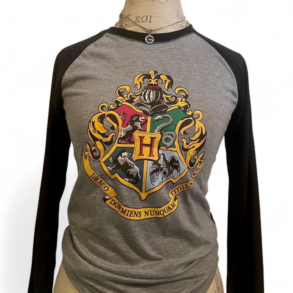 2017 Harry Potter Hogwarts Houses Long Sleeve • SIZE - Large / 14/16